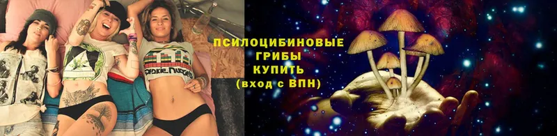 Псилоцибиновые грибы мухоморы Десногорск